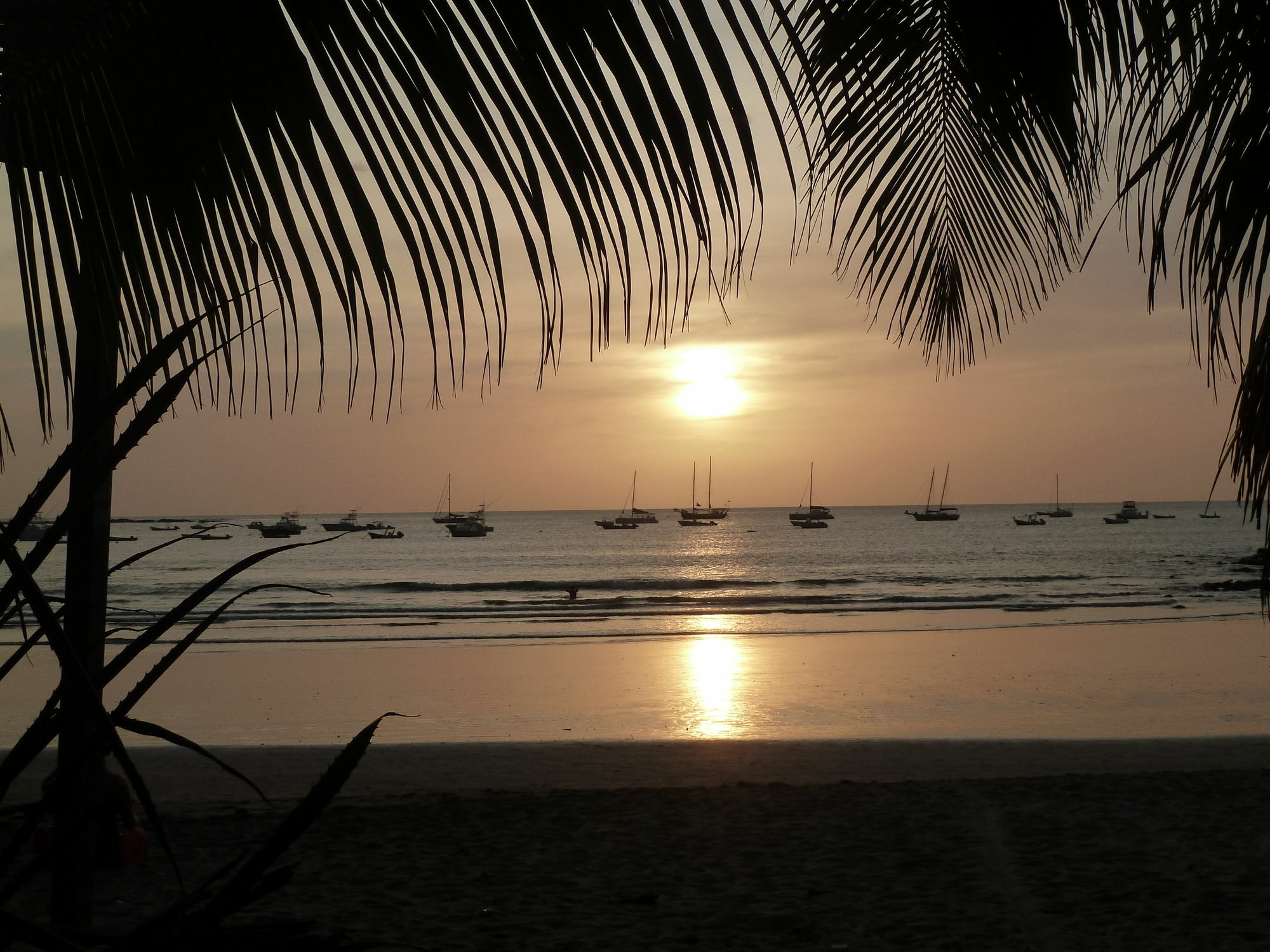 Villa Nautilus Tamarindo Eksteriør billede